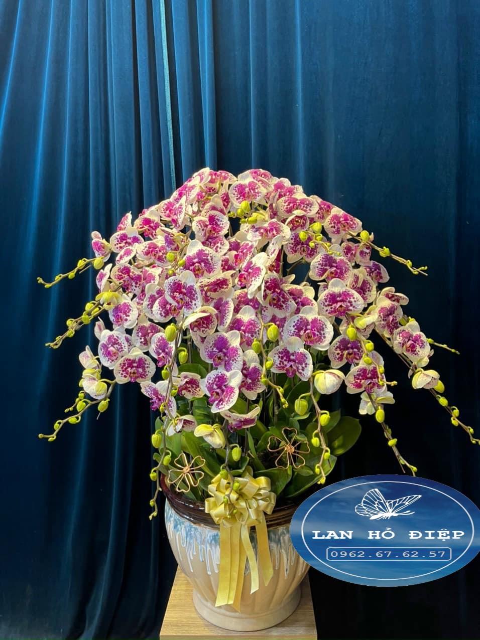 Đan Xen - LHD016T