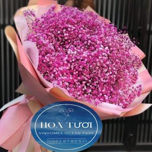 HB011 - Thủy Chung