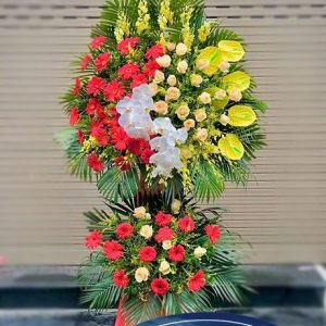 Ngày Mới - HKT094