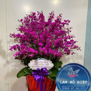 Thủy Chung - LHD005T