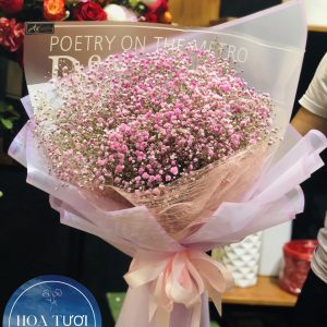 HB026 - Thiên Hà