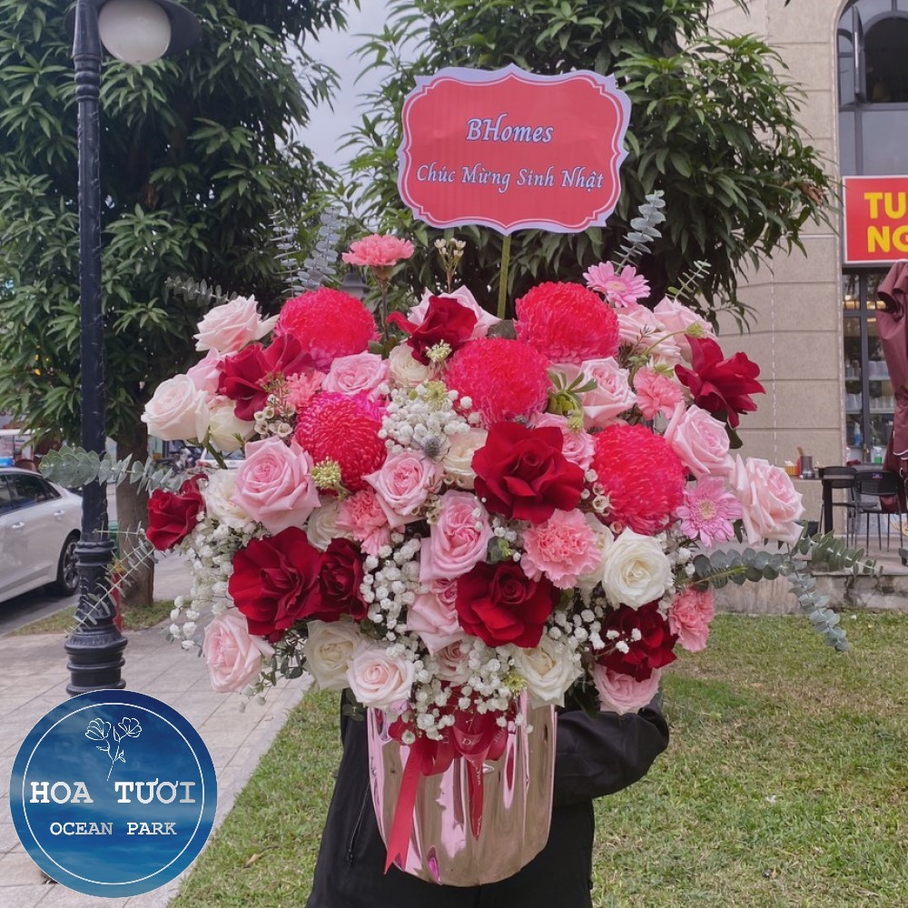 HG020 - Hồng Hạnh