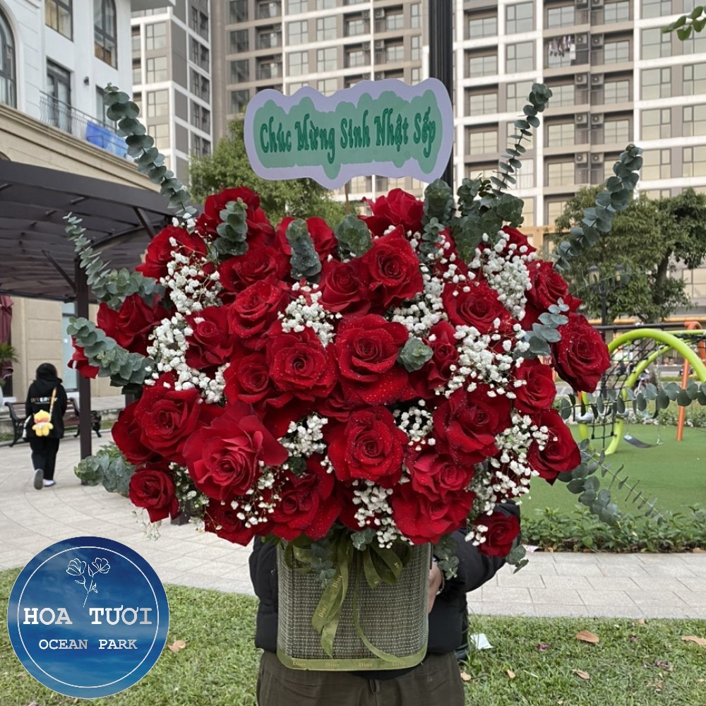 HG021 - Khoe Sắc